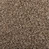 Carpet_flooring-Island Spice Carpet flooring from Momentum Collection with soft texture and modern style