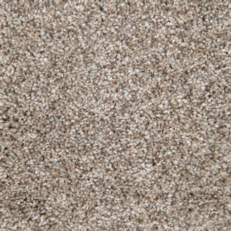 Monarch Collection 2 Carpet flooring from Monarch Collection with elegant design and soft texture