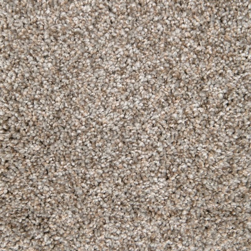 Carpet flooring from Monarch Collection with elegant design and soft texture