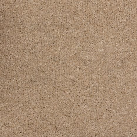Mystical Collection carpet flooring with soft touch and refined style