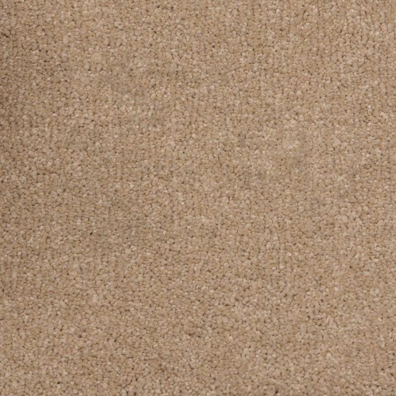 Mystical Collection carpet flooring with soft touch and refined style