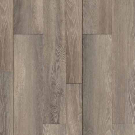 Equinox Multi Collection